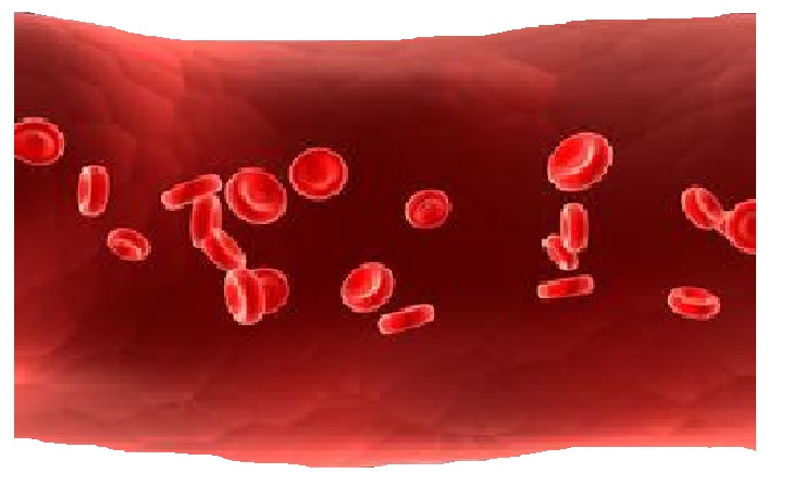 云顶集团游戏登录网站