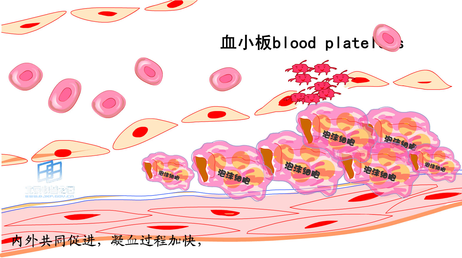 云顶集团游戏登录网站