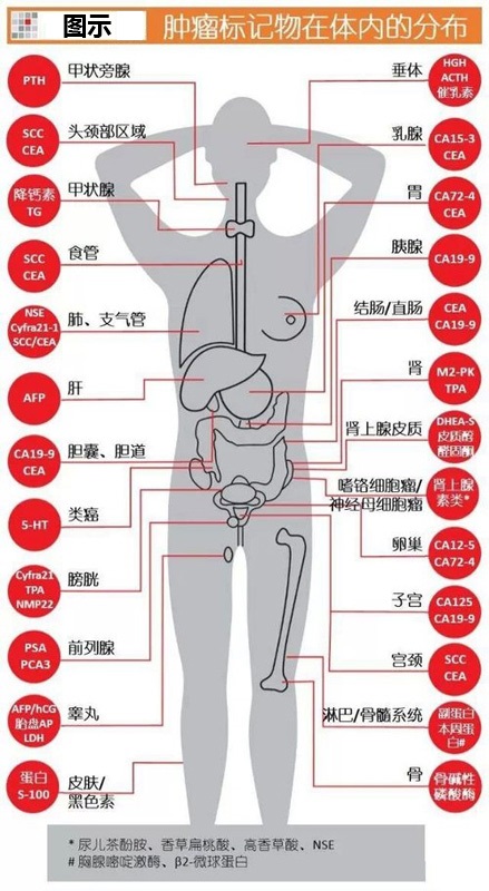 云顶集团游戏登录网站