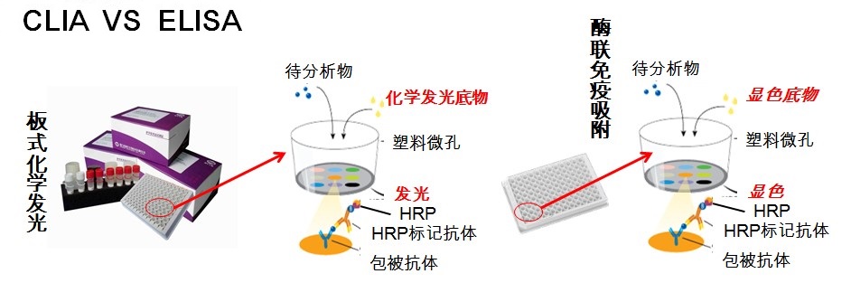 云顶集团游戏登录网站