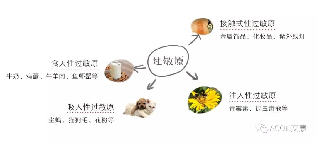 APAAACI 2019 | 深入解读过敏原:从诊断到治疗,优化过敏原诊断管理——艾康生物过敏原检测分会 APAAACI 2019 | 深入解读过敏原:从诊断到治疗,优化过敏原诊断管理——艾康生物过敏原检测分会