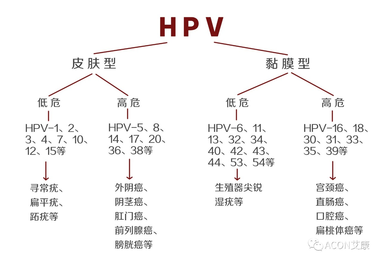 HPV疫苗有必要打吗？二价、四价、九价要如何选择！