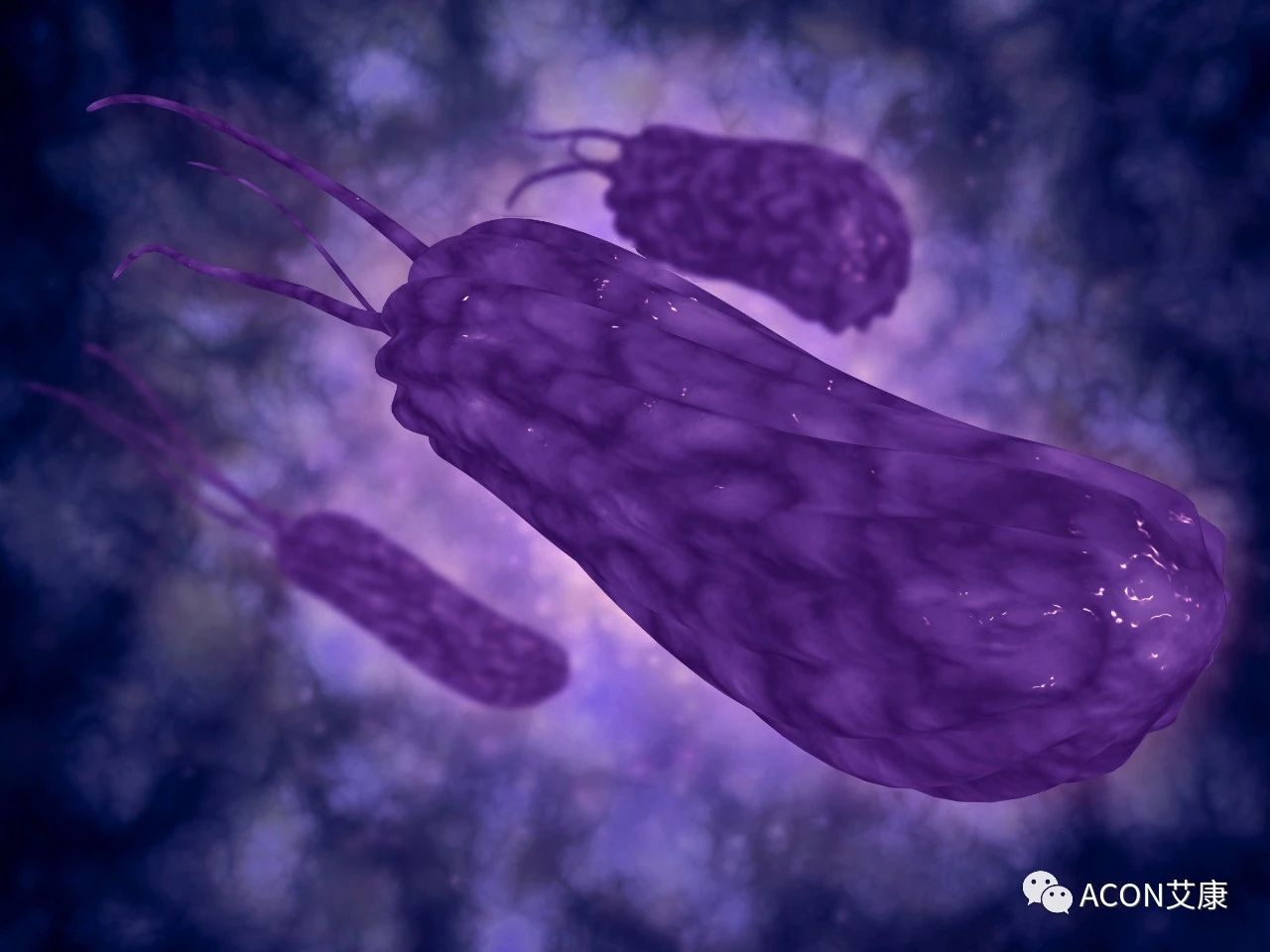 医生总结了3位年轻胃癌患者的病例：30岁不到的他们到底干啥了？