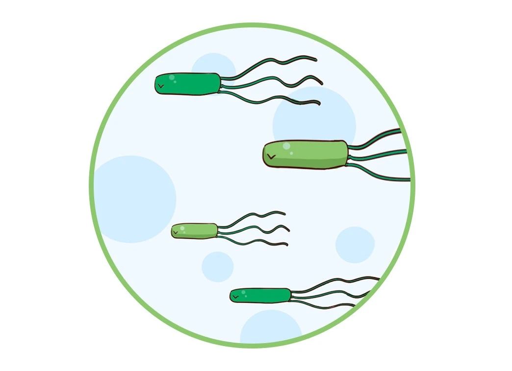 这种致癌物传染性极强，50%中国人都有！很多人还不知道
