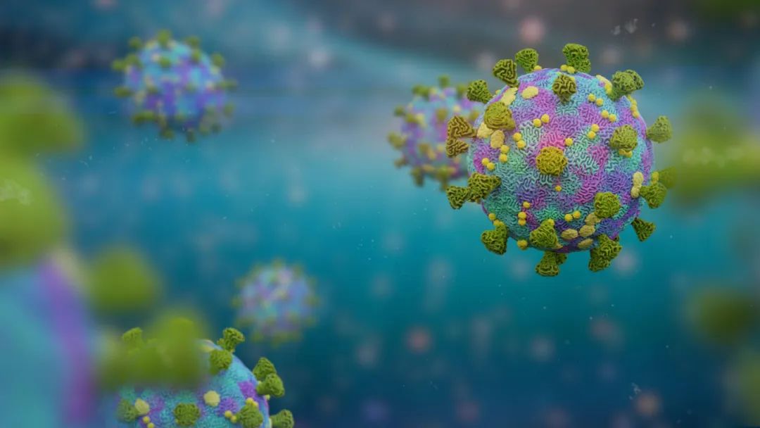 微信图片_20220715092546.jpg 微信图片_20220715092546.jpg