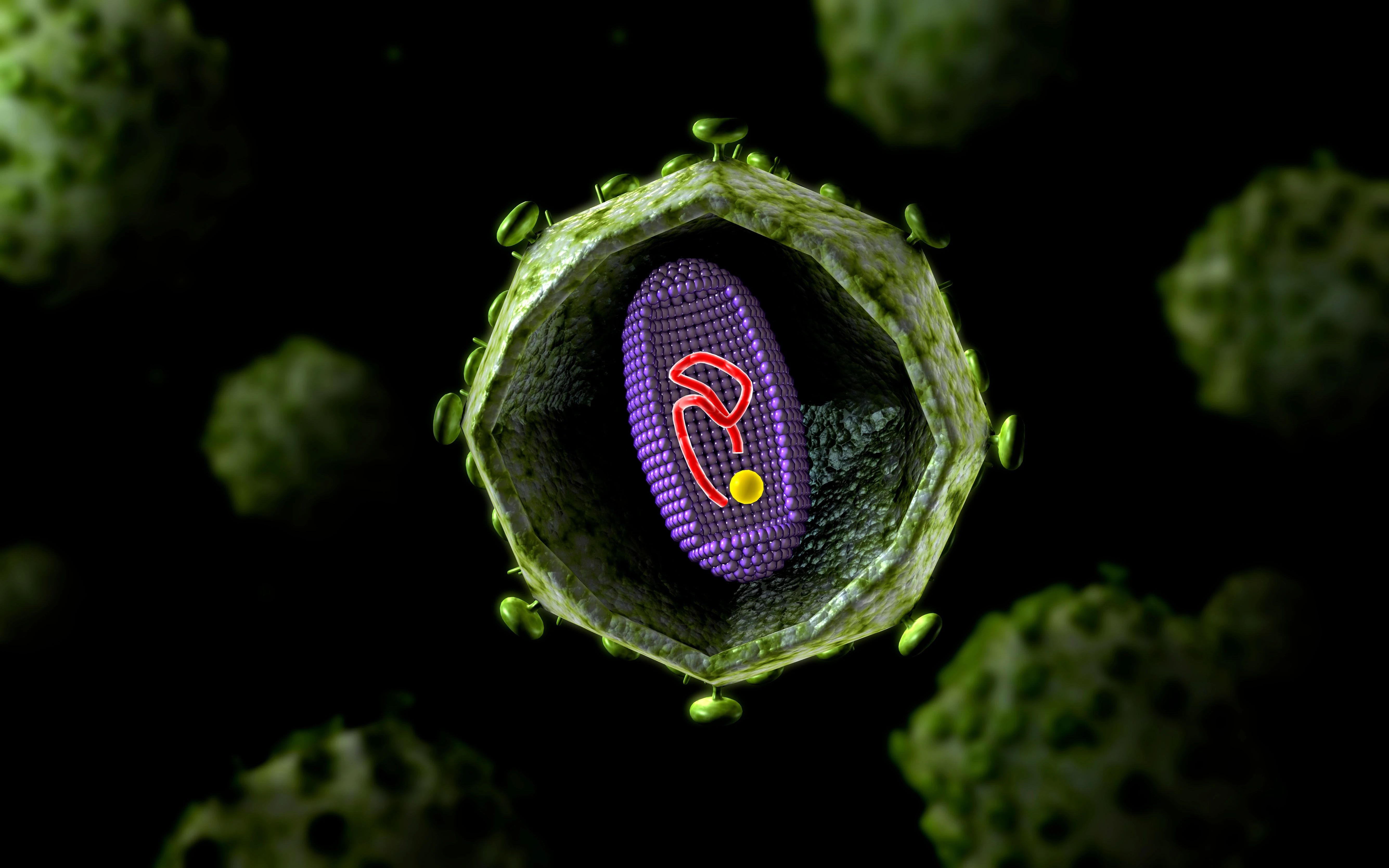 微信图片_20230420132942.jpg 微信图片_20230420132942.jpg