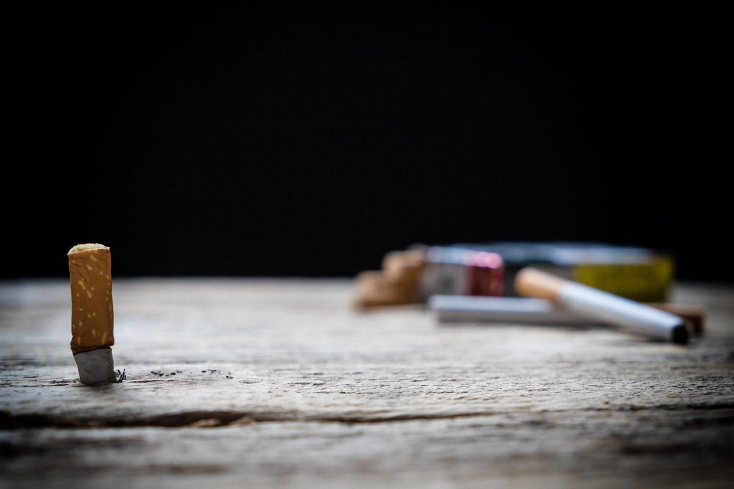 _DSF2347.jpg _DSF2347.jpg