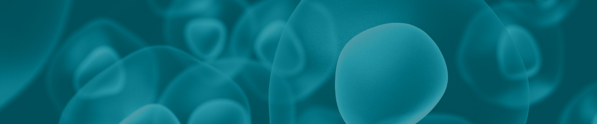 2025官网_栏目页banner 03.jpg