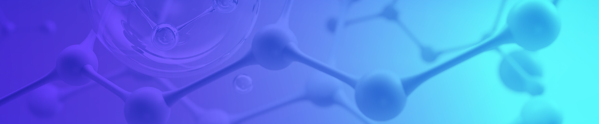 2025官网_栏目页banner 17（辅助栏目）.jpg