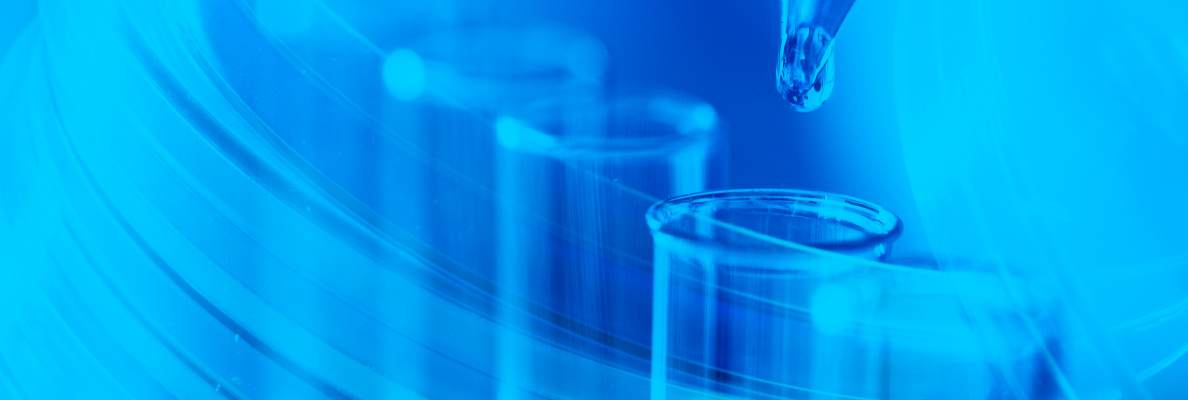 2025官网_栏目页banner 06.jpg