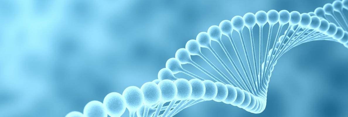 2025官网_栏目页banner 12.jpg